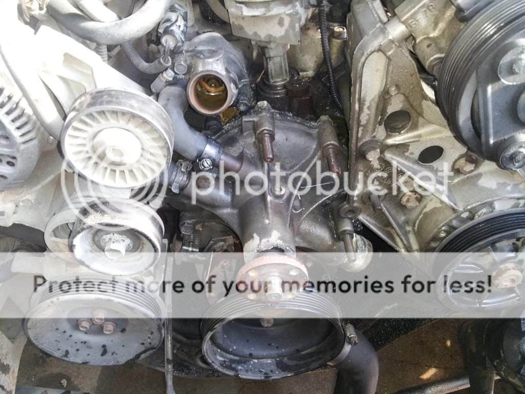 351W timing cover/water pump studs/bolts your take, advice, opinions